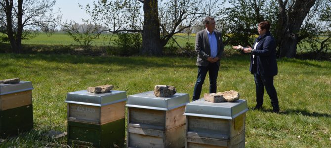 Die Bienen summen in der Luft, erfüllen sie mit Honigduft – Projekt „PoshBee“ bringt Landwirte, Imker und Wissenschaftler zusammen