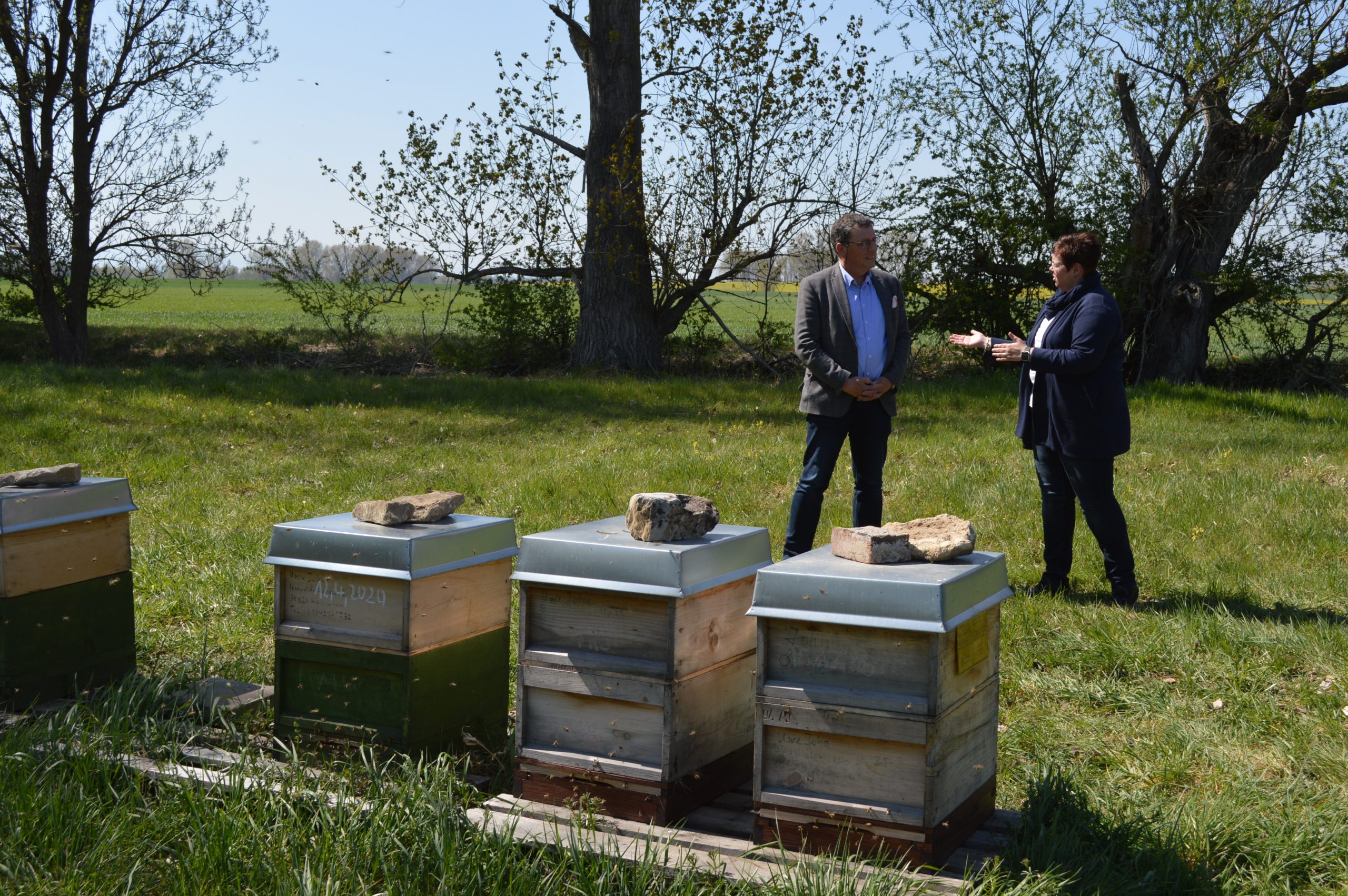 Die Bienen summen in der Luft, erfüllen sie mit Honigduft – Projekt „PoshBee“ bringt Landwirte, Imker und Wissenschaftler zusammen