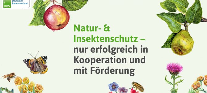 Insektenschutzprogramm – Erfolg?