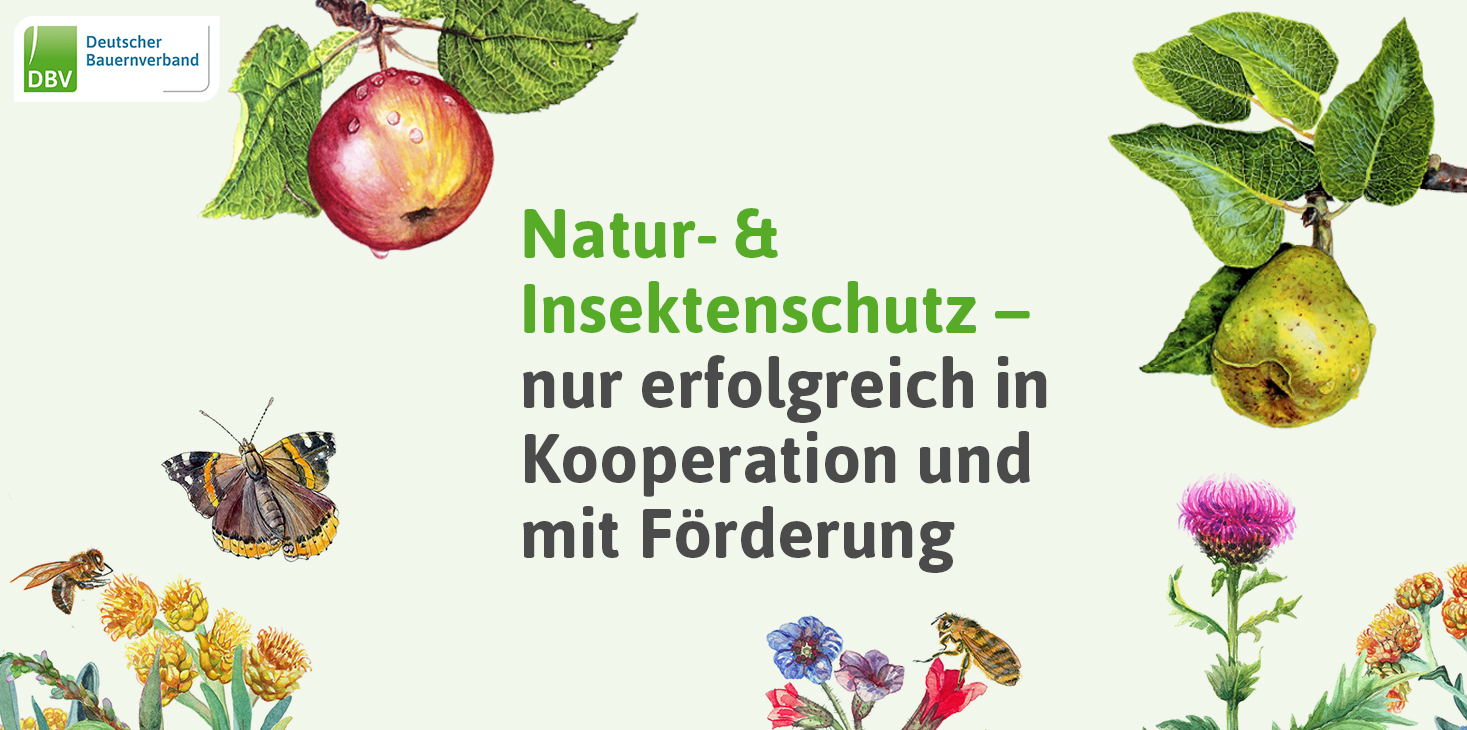 Insektenschutzprogramm – Erfolg?