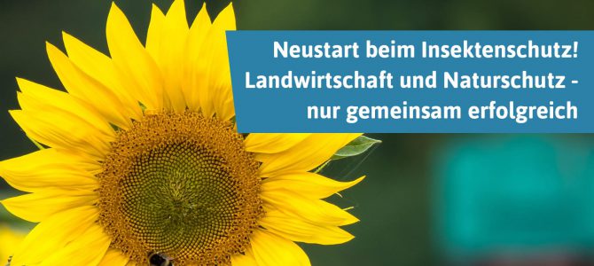 Insektenschutz und Landwirtschaft