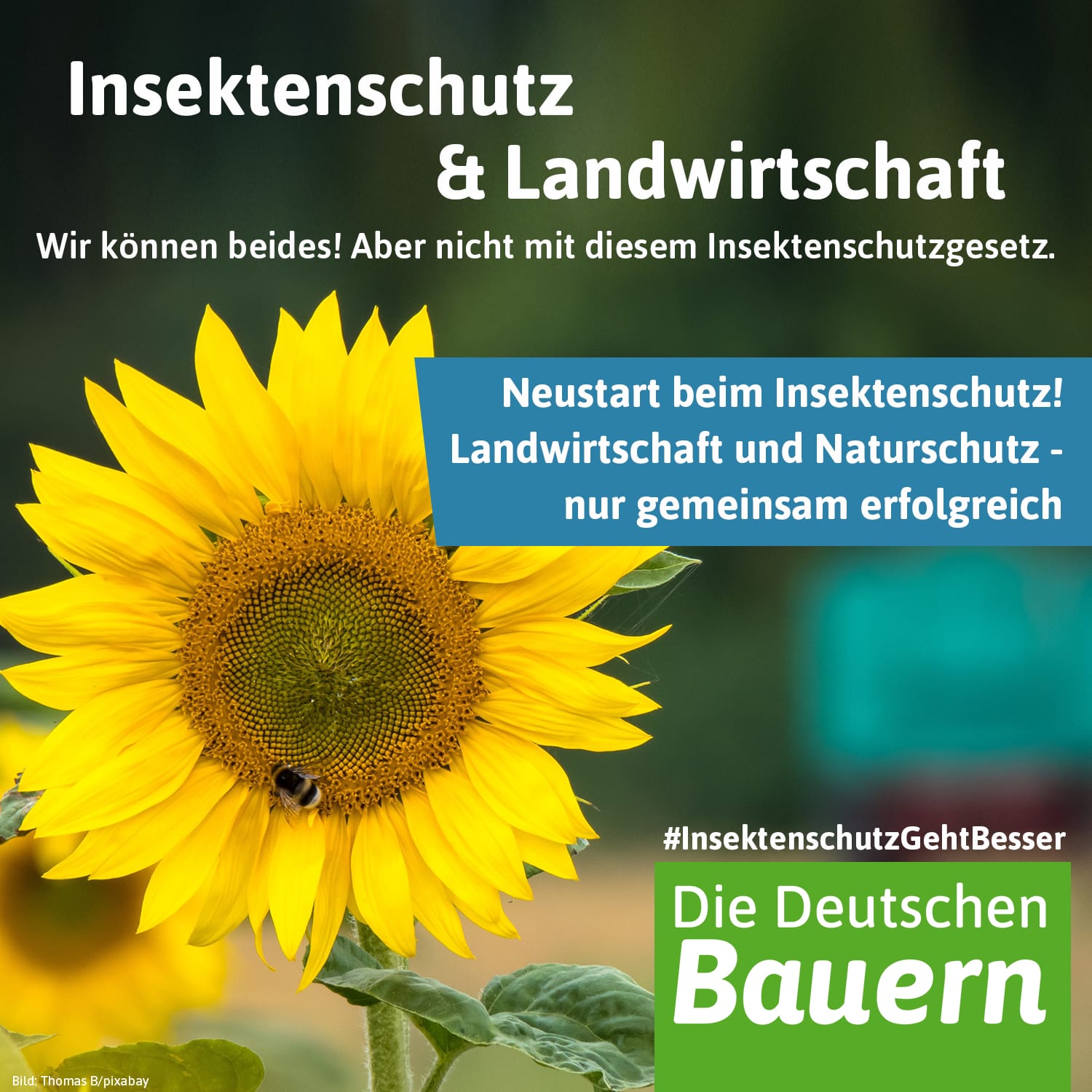 Insektenschutz und Landwirtschaft