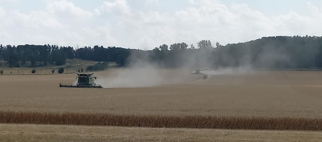 Ernte ist in weiten Teilen des Harzkreises   abgeschlossen